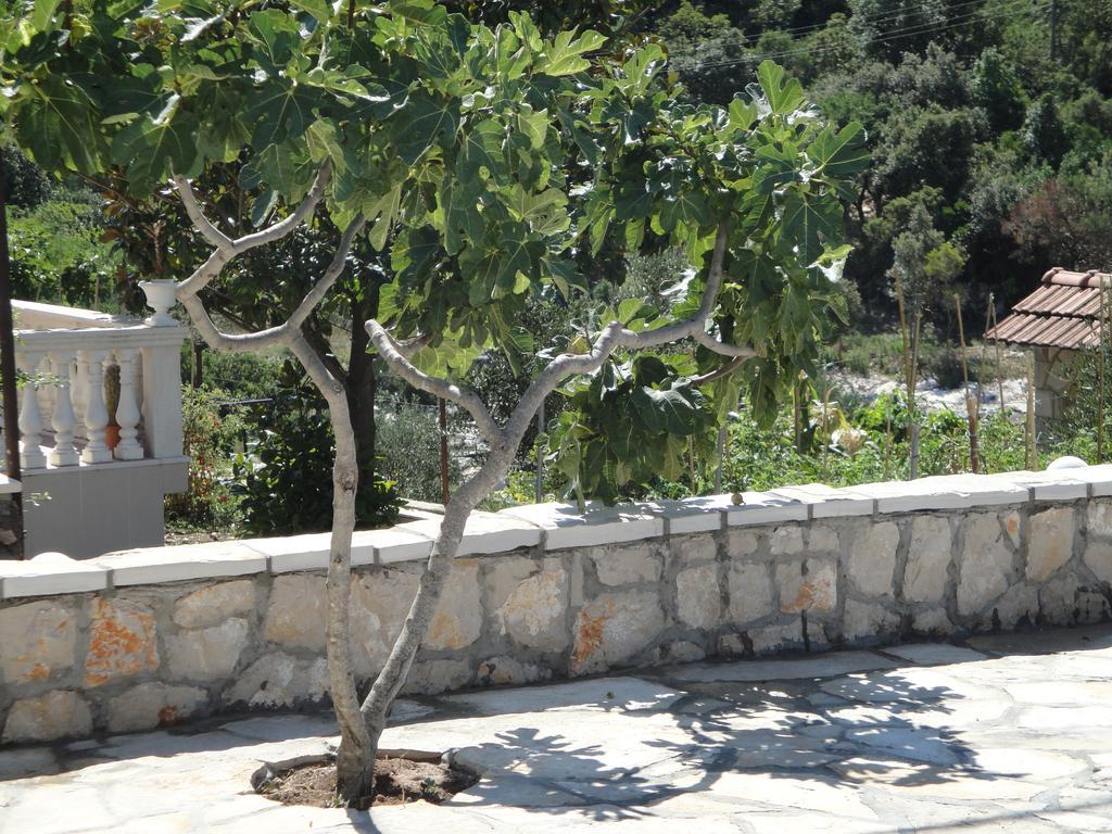 Villa Marica Neum Exterior photo